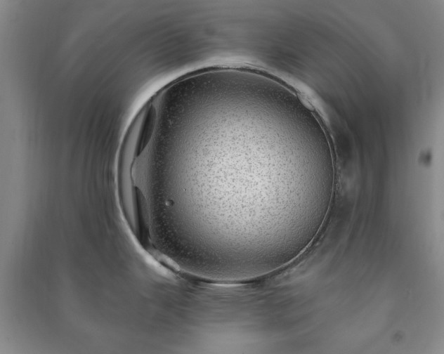 X0000091231343200708161709