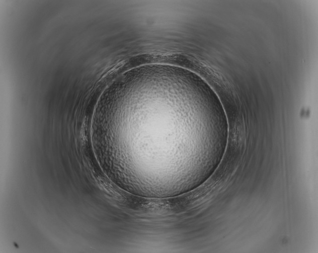 X0000091231346200708161708