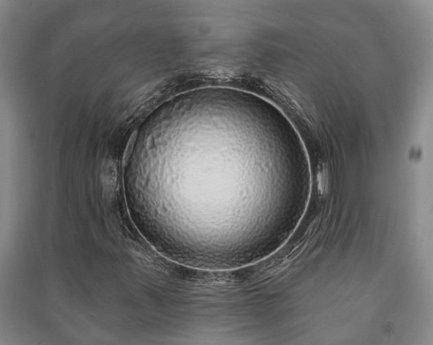 X0000091231347200708161708