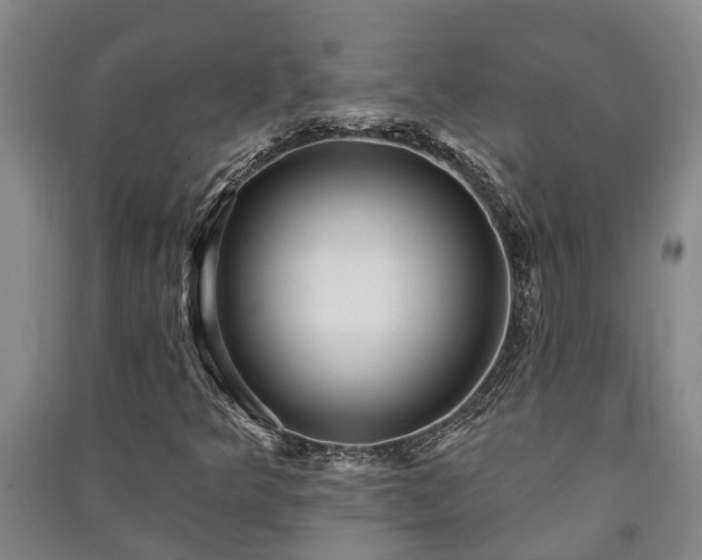 X0000091231349200708161708