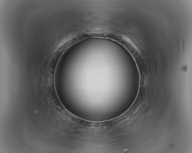 X0000091231350200708161708