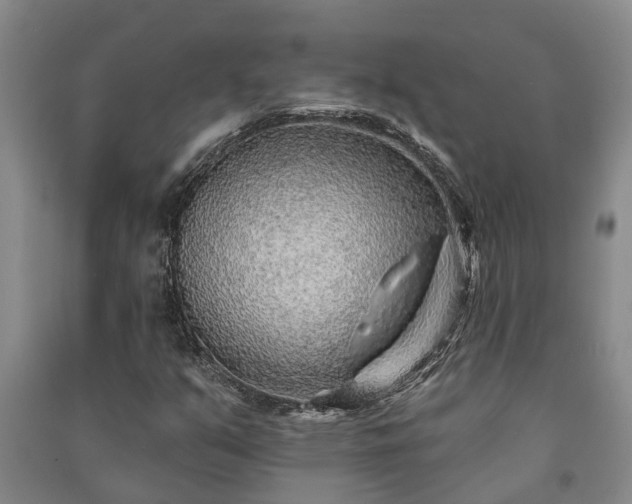 X0000091231351200708161708