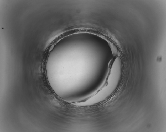 X0000091231352200708161708