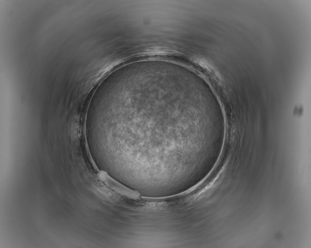 X0000091231353200708161708