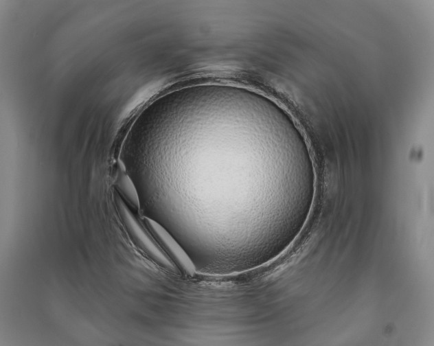 X0000091231354200708161708