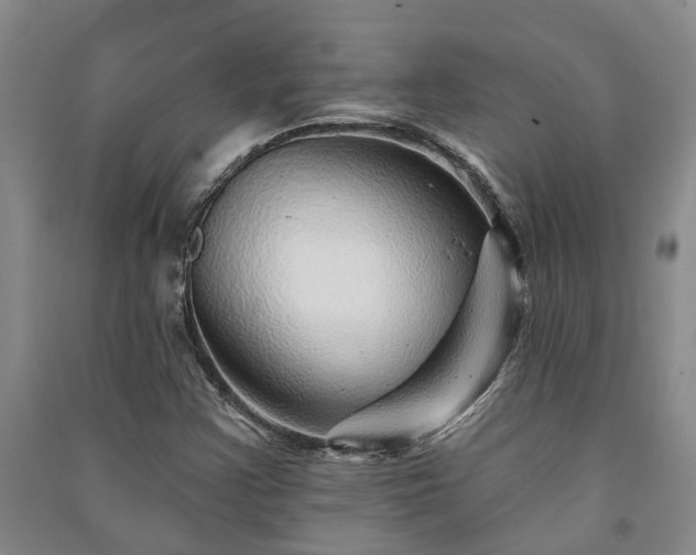 X0000091231355200708161708
