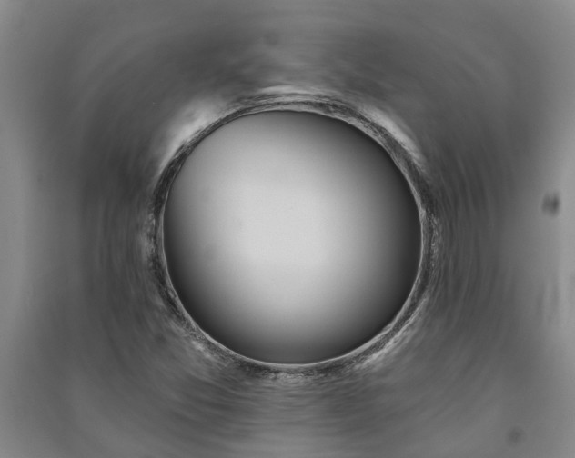 X0000091231357200708161708