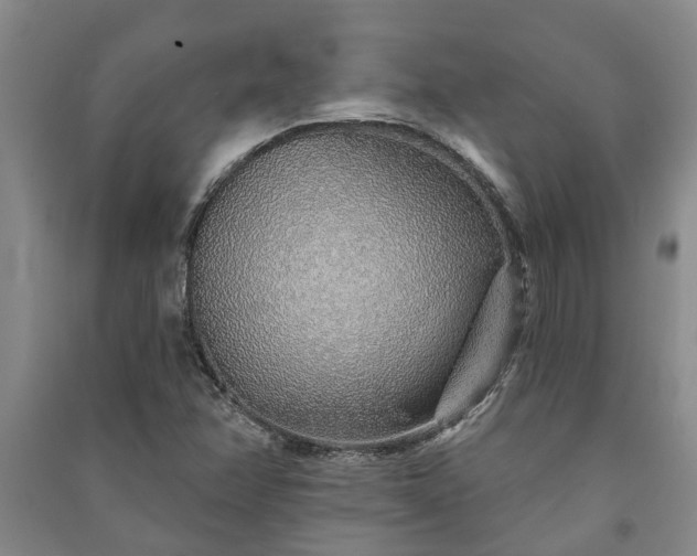 X0000091231358200708161708