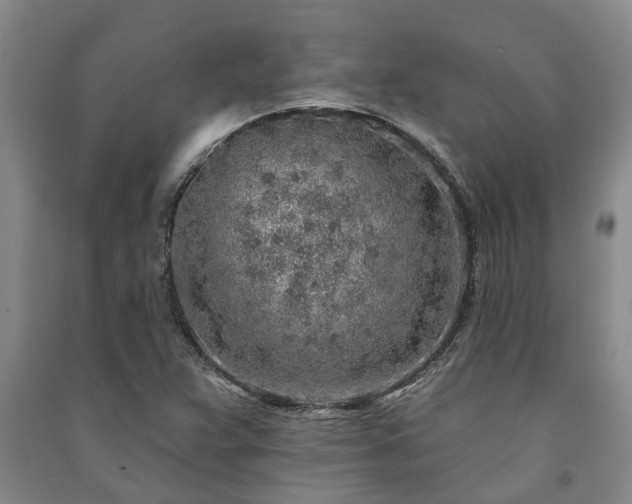 X0000091231359200708161708
