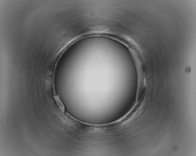 X0000091231361200708161708