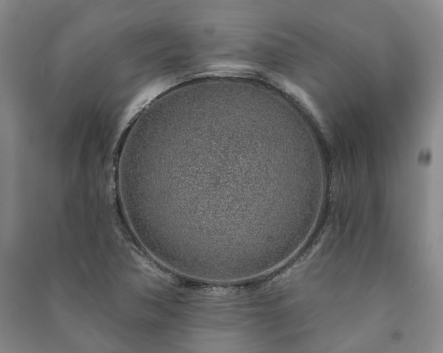 X0000091231362200708161708