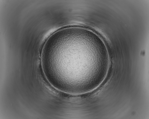 X0000091231363200708161708