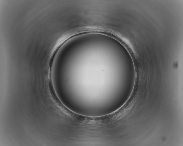 X0000091231365200708161708