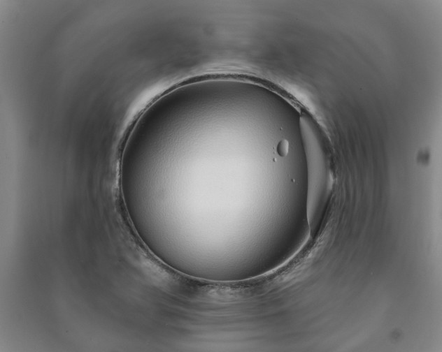 X0000091231366200708161708
