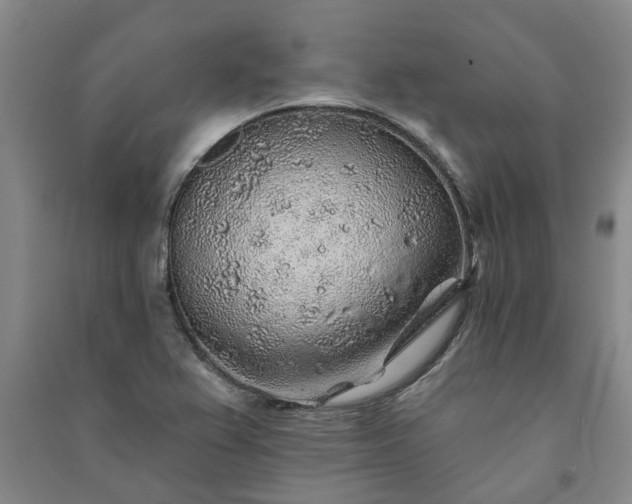 X0000091231367200708161708