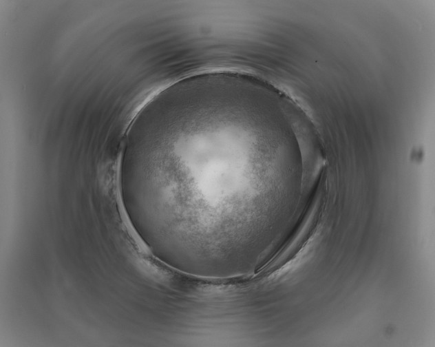 X0000091231369200708161708