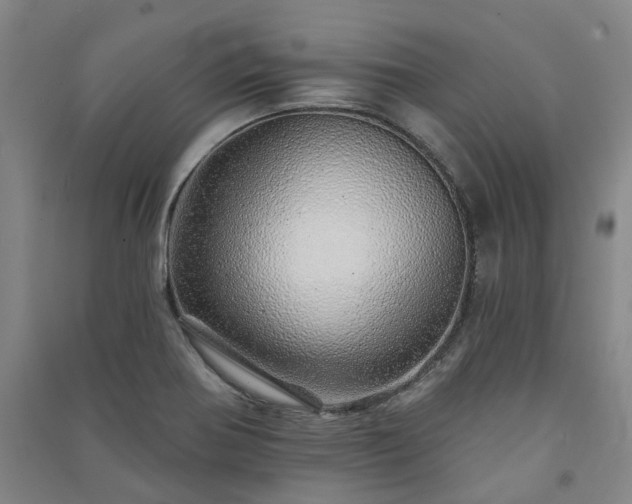 X0000091231370200708161708