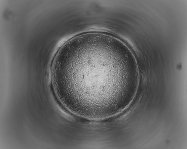 X0000091231371200708161708