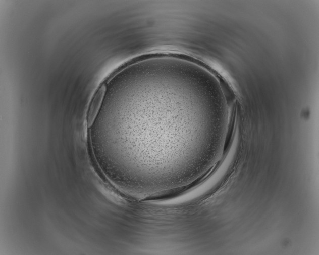X0000091231372200708161708