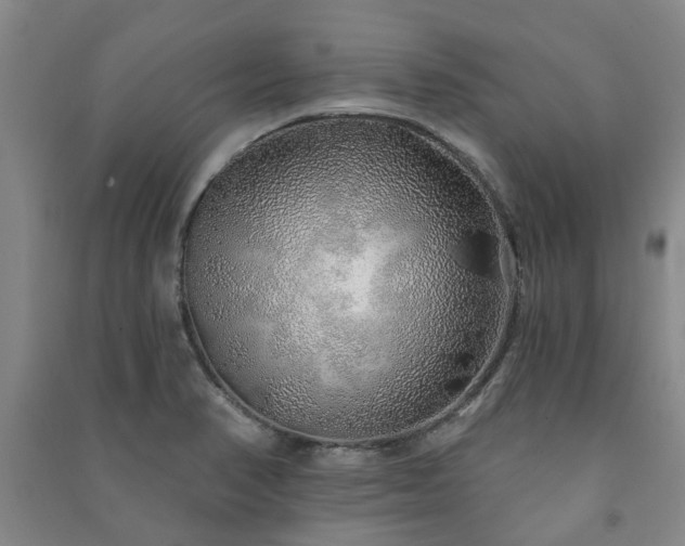X0000091231374200708161708
