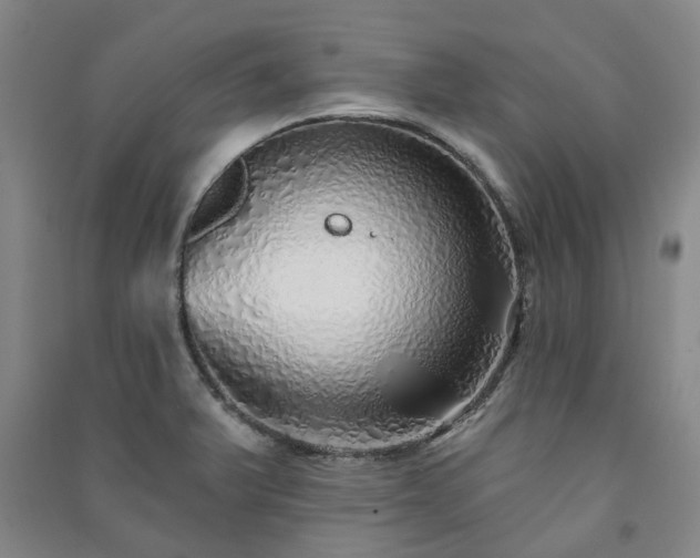 X0000091231375200708161708