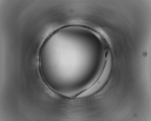 X0000091231376200708161708