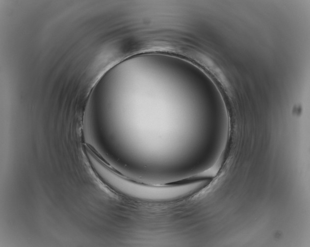 X0000091231377200708161708