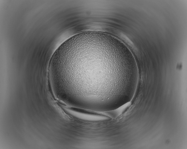 X0000091231378200708161708
