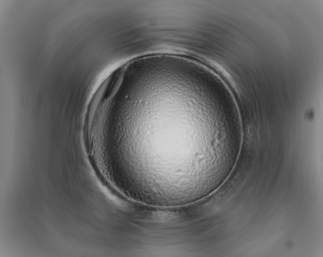 X0000091231379200708161708