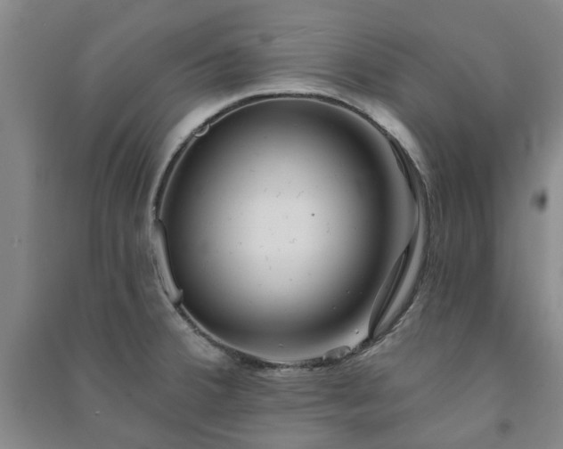 X0000091231380200708161708