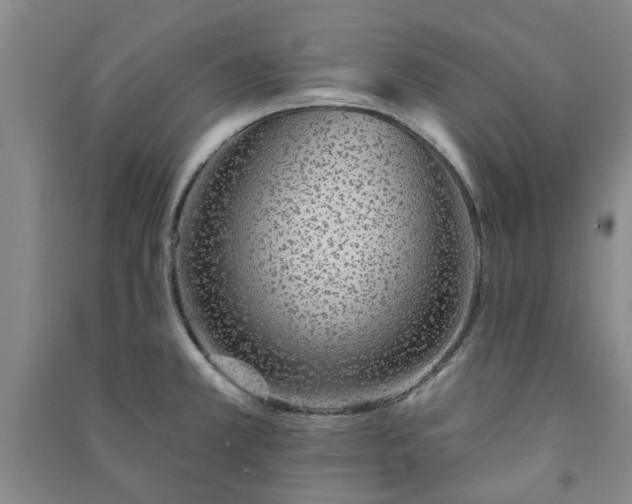 X0000091231381200708161708