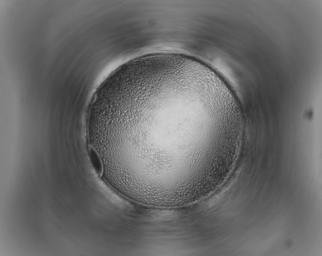 X0000091231382200708161708