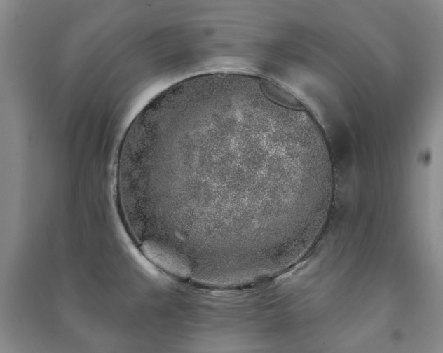 X0000091231383200708161708