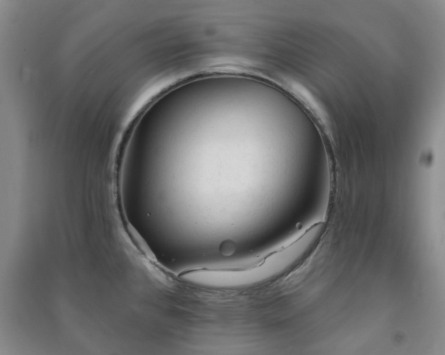 X0000091231384200708161708