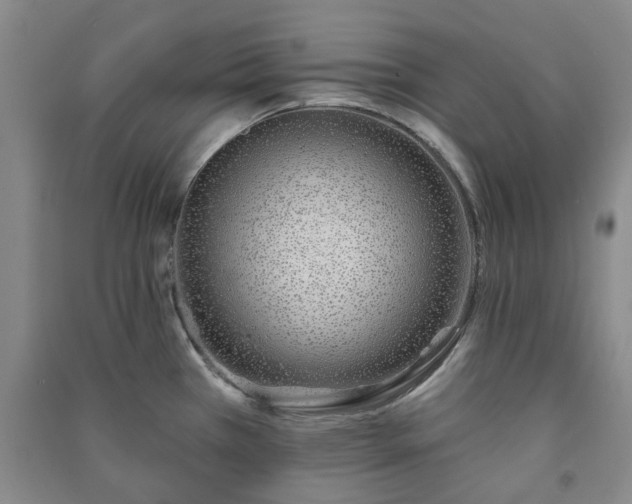 X0000091231385200708161708