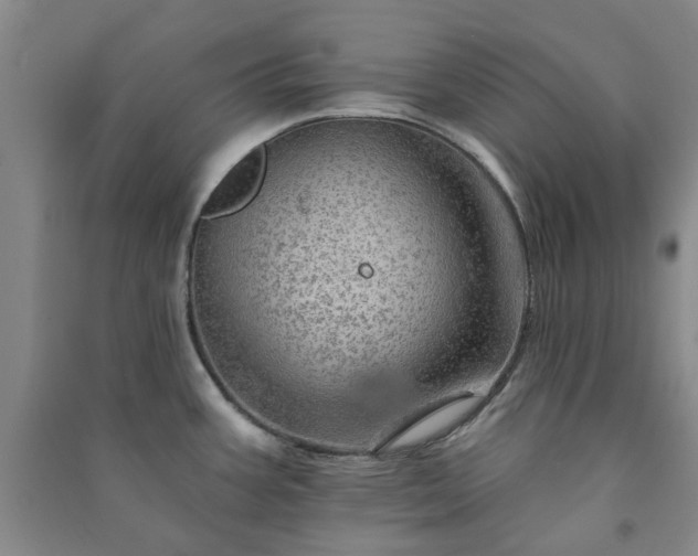 X0000091231387200708161708