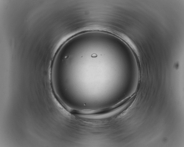 X0000091231388200708161708