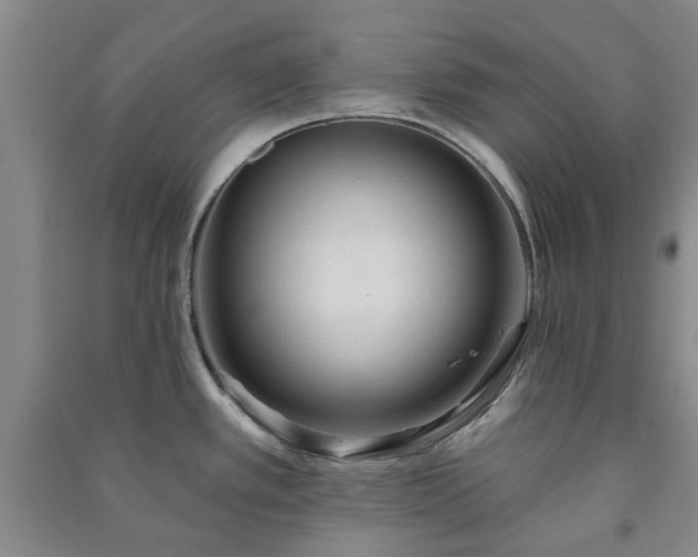 X0000091231389200708161708