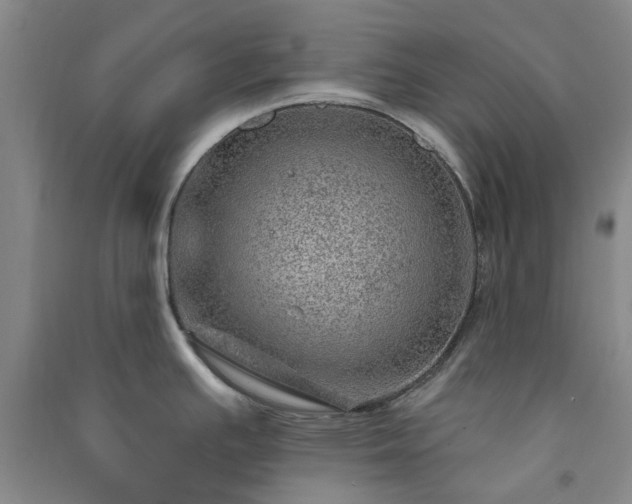 X0000091231391200708161708