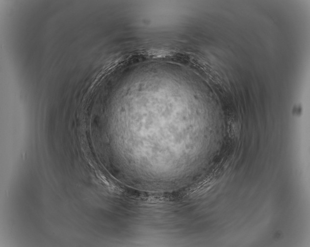 X0000091231393200708161707
