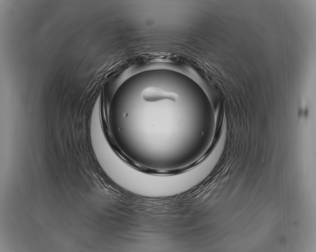 X0000091231394200708161707