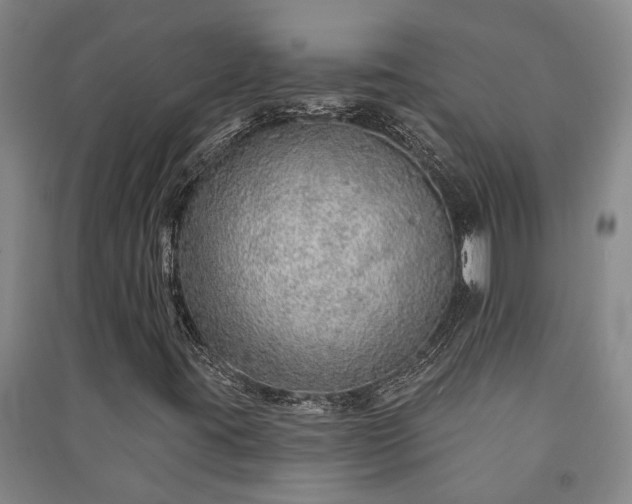 X0000091231395200708161707