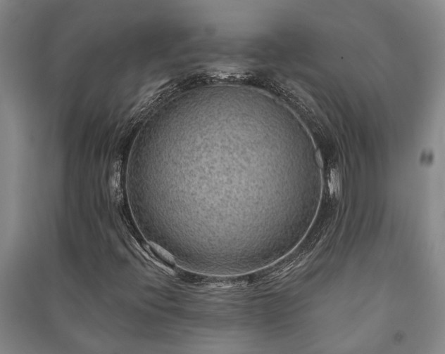 X0000091231396200708161707