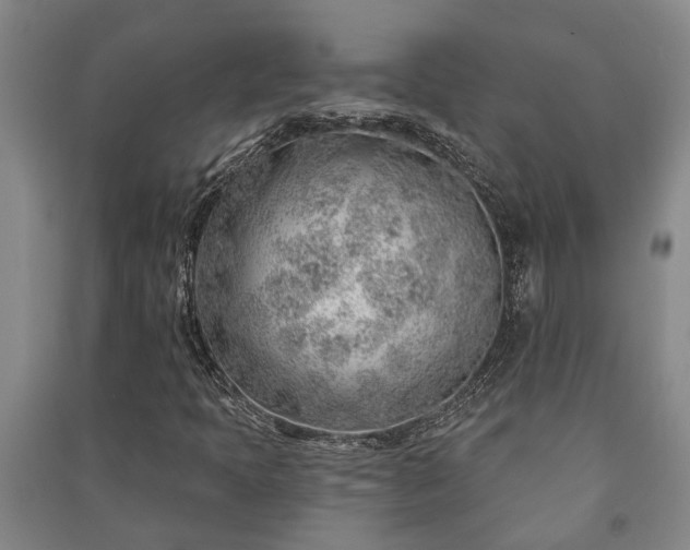 X0000091231397200708161707
