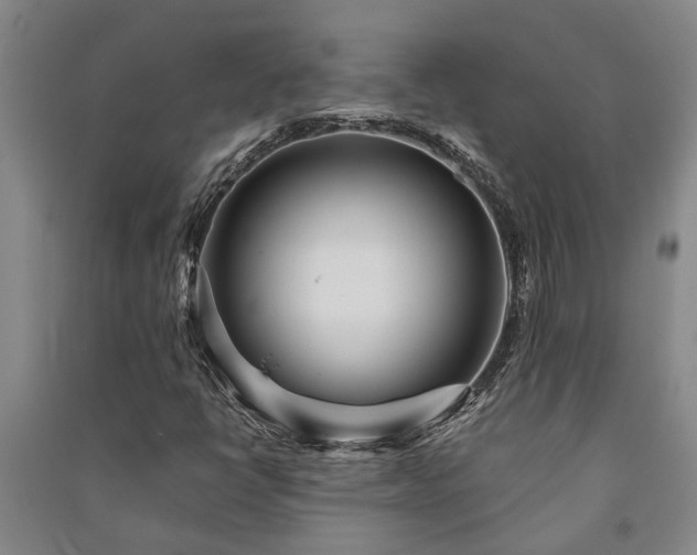 X0000091231398200708161707