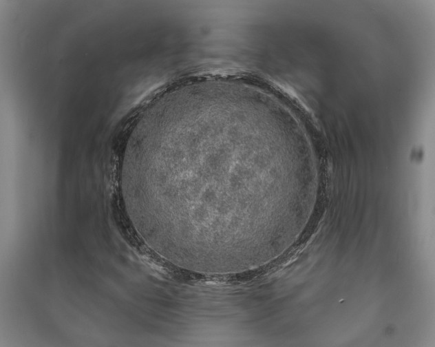 X0000091231399200708161707