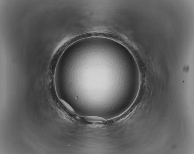 X0000091231400200708161707