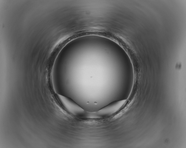 X0000091231402200708161707