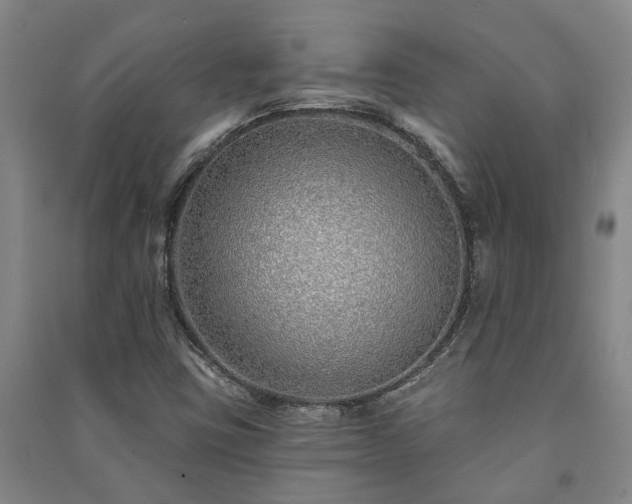 X0000091231403200708161707