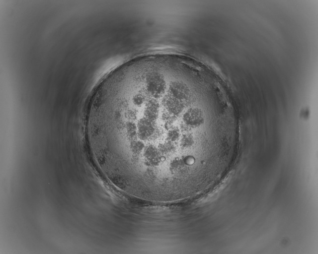 X0000091231405200708161707